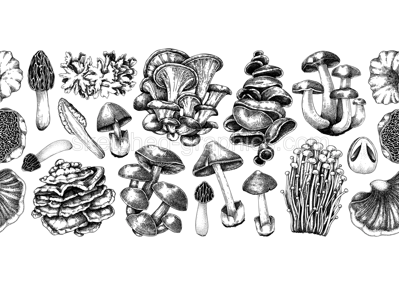 Mushrooms seamless pattern. Artistic autumn forest plant border. Fall background with edible fungi sketches. Hand drawn healthy food, fungal protein vector illustration. Repeating design for print Illustration